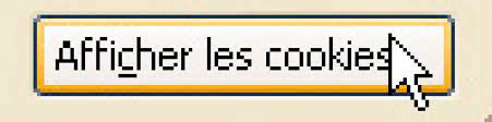 Lire la suite à propos de l’article Explications sur les cookies et leur intérêt sur le web